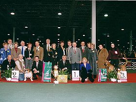 dogs breeders dog pictures